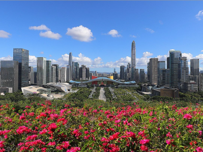 从新春首会看深圳10+1区经济高质量发展如何开新局 