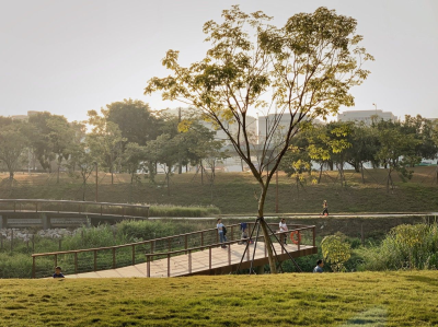 新建改造公园30个，梳理百条特色步道！深圳城市管理今年将开展“十大行动”
