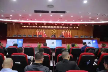 凝心聚力，为实现中国式现代化贡献“凤凰力量” 凤凰街道干部集中学习贯彻党的二十大精神