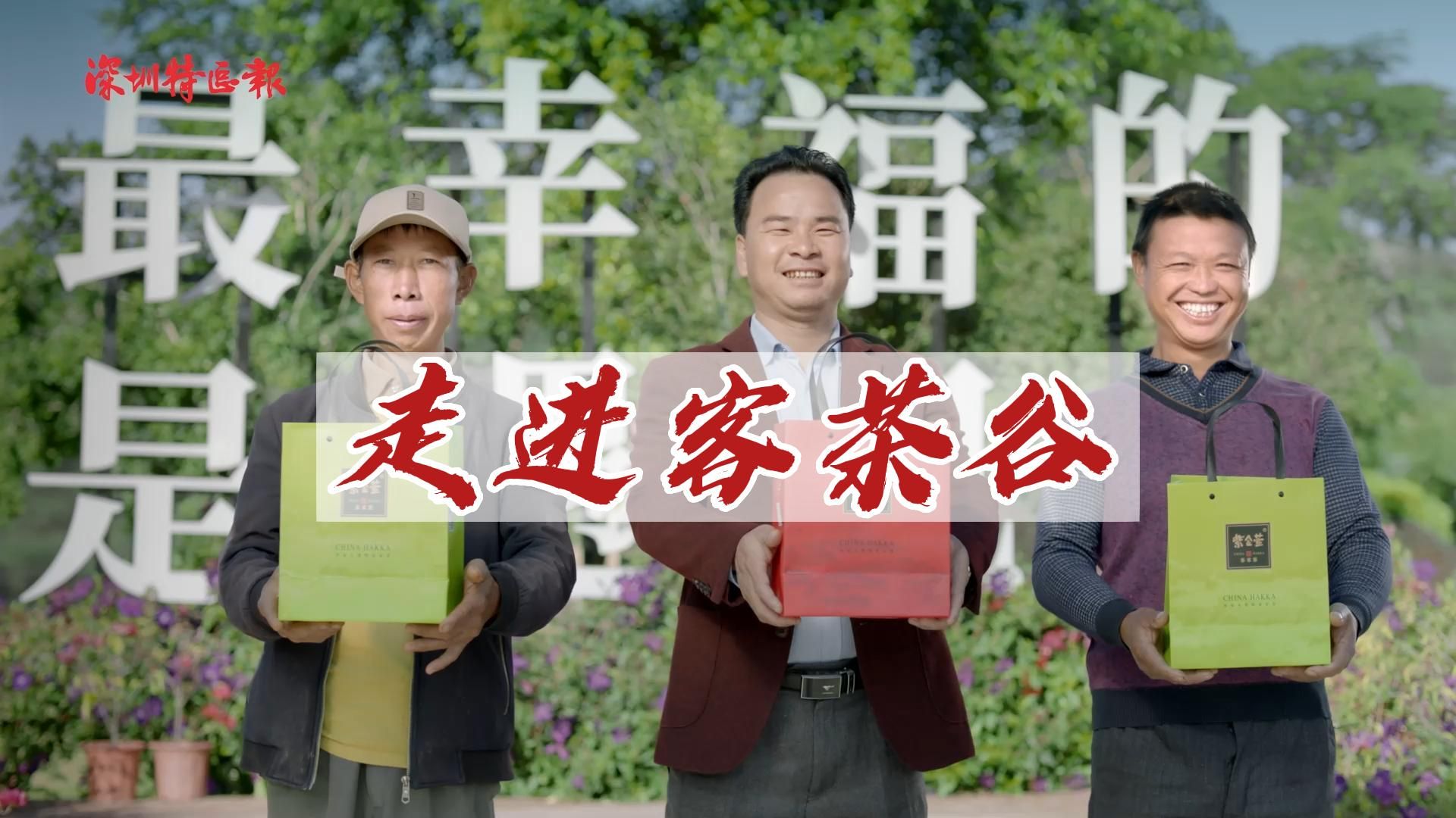 助力河源乡村振兴｜走进紫金客茶谷
