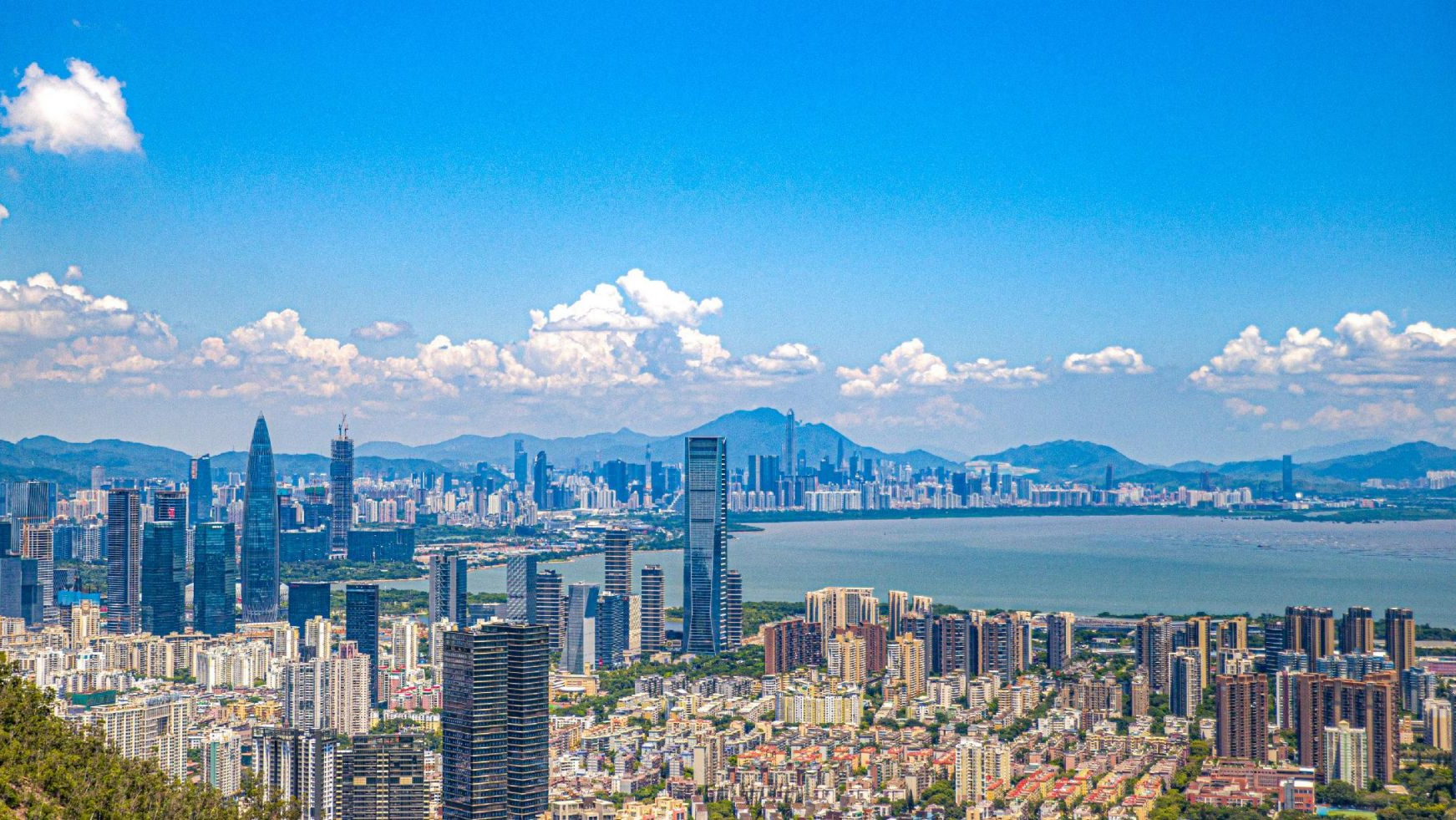 最新中小企业发展环境排名出炉，深圳全国第一！