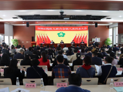 深圳市残联第八次代表大会召开 勠力推动残疾人事业高质量全面发展