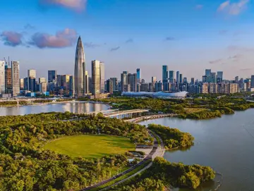 我为企业找市场 | 深圳市跨境电商协会：加快推动企业出海考察市场