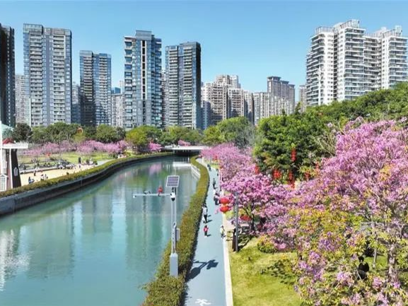 深圳生态气候舒适度：优！优！优！这三个区最舒适→