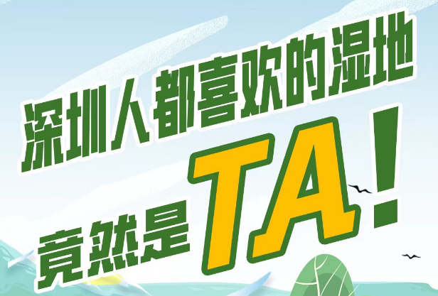读特第一线 | 深圳人都喜欢的湿地，竟然是TA！