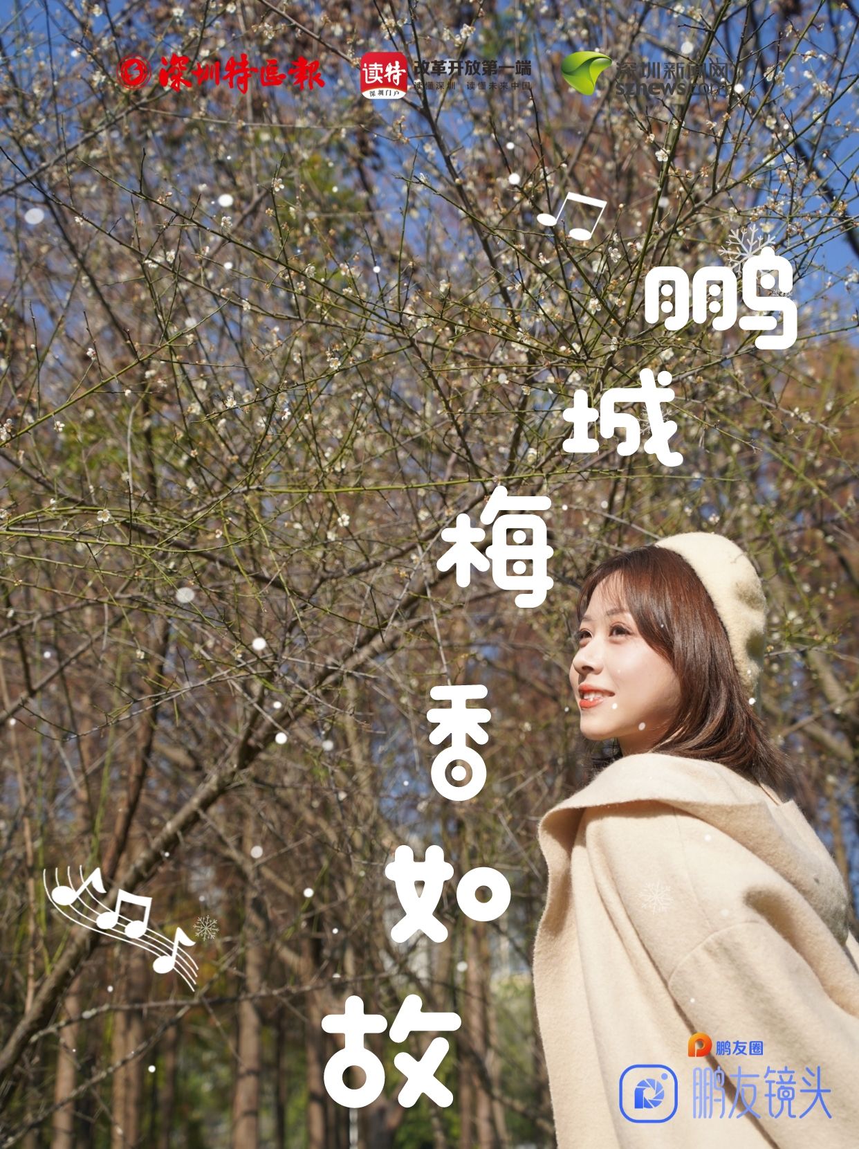 鹏城梅香如故——中心公园探梅