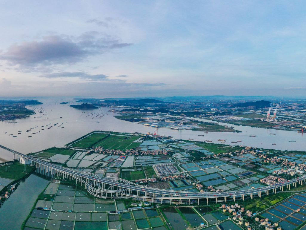 春涌湾区万里晴——写在《粤港澳大湾区发展规划纲要》发布四周年之际