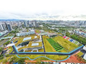 新春走基层｜新桥春正浓——宝安区新桥街道新春伊始推进高质量发展见闻