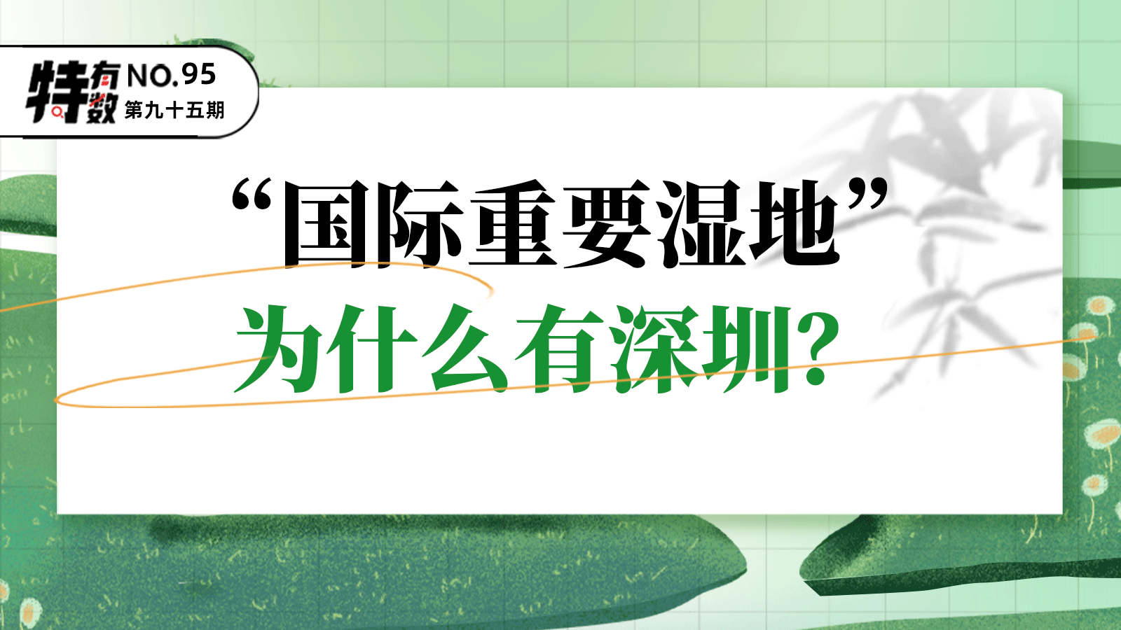 特有数 | 福田红树林湿地为何得到世界认可？