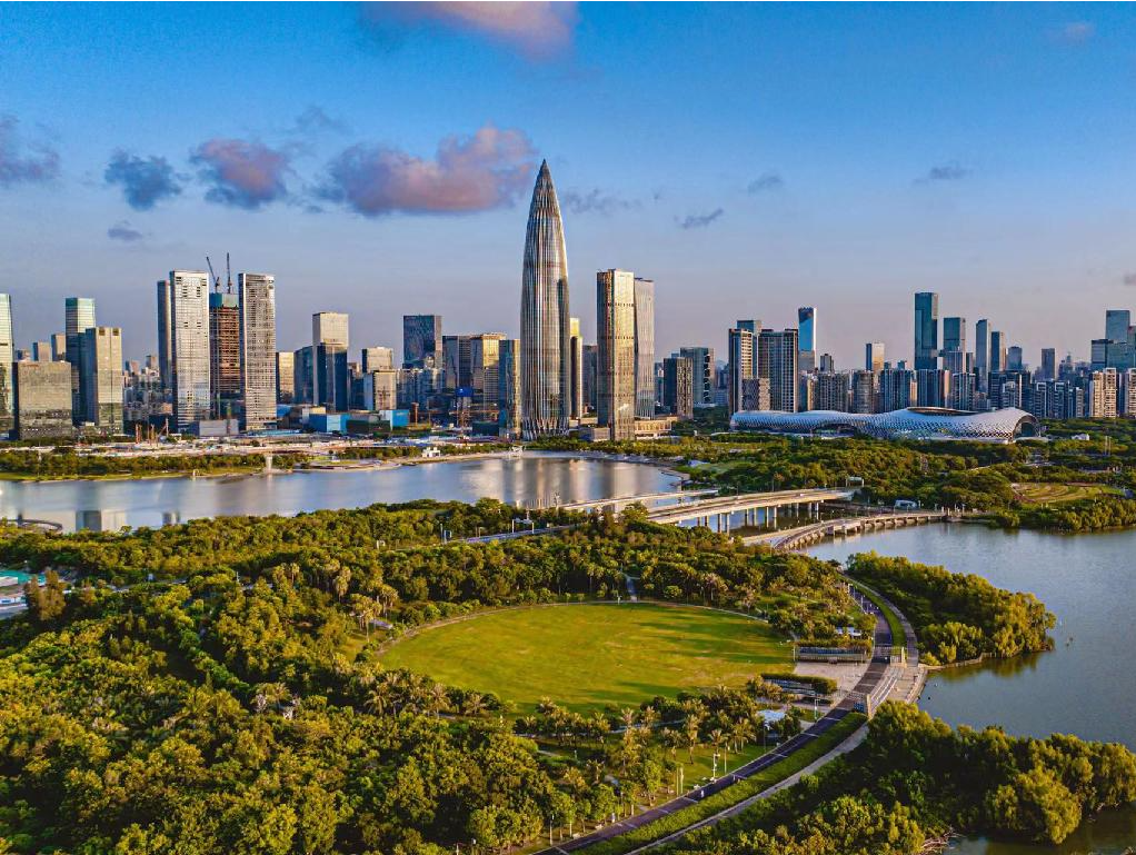 深圳市商务局局长张非梦：千方百计扩内需促消费  不断开创对外开放新格局
