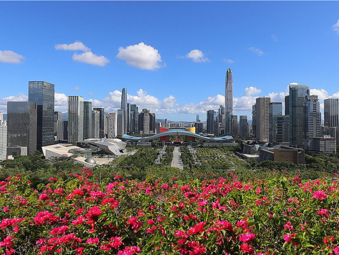 深圳市文明办主任联席会暨文明城市创建工作推进会召开
