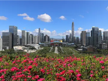深圳市文明办主任联席会暨文明城市创建工作推进会召开