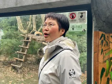 代表委员履职故事｜全国人大代表侯蓉：以科研精神确保建议议案质量