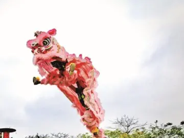 美好生活共话民俗 南山区马家龙社区开展第二届民俗文化嘉年华