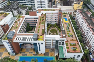 立体绿化进校园：罗湖中学屋顶花园即将开放
