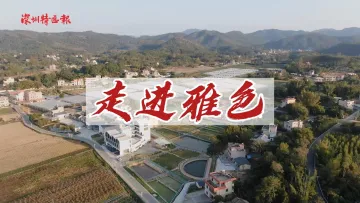 助力河源乡村振兴｜走进雅色党建文化中心