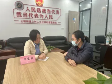 听民声解民忧聚民心 公明上村社区人大代表进站接访群众
