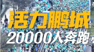 三个数字带你看2022深圳马拉松“最美”瞬间