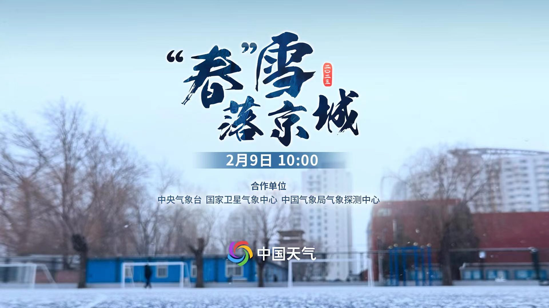 直播｜“春”雪落京城