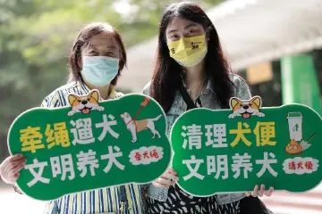 @狗狗守护者，园岭街道邀您共建人犬和谐相处的美好家园