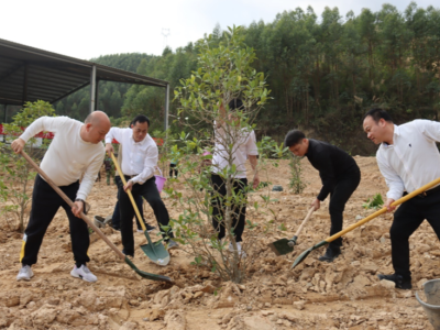 深汕鹅埠镇开展绿美广东生态建设义务植树活动