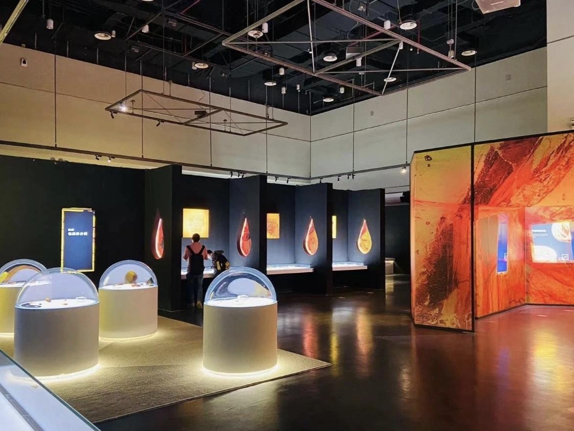 “一眼千万年——世界琥珀艺术展”在省博开幕