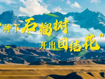 十年两会·温暖记忆｜“种下石榴树，开出团结花”