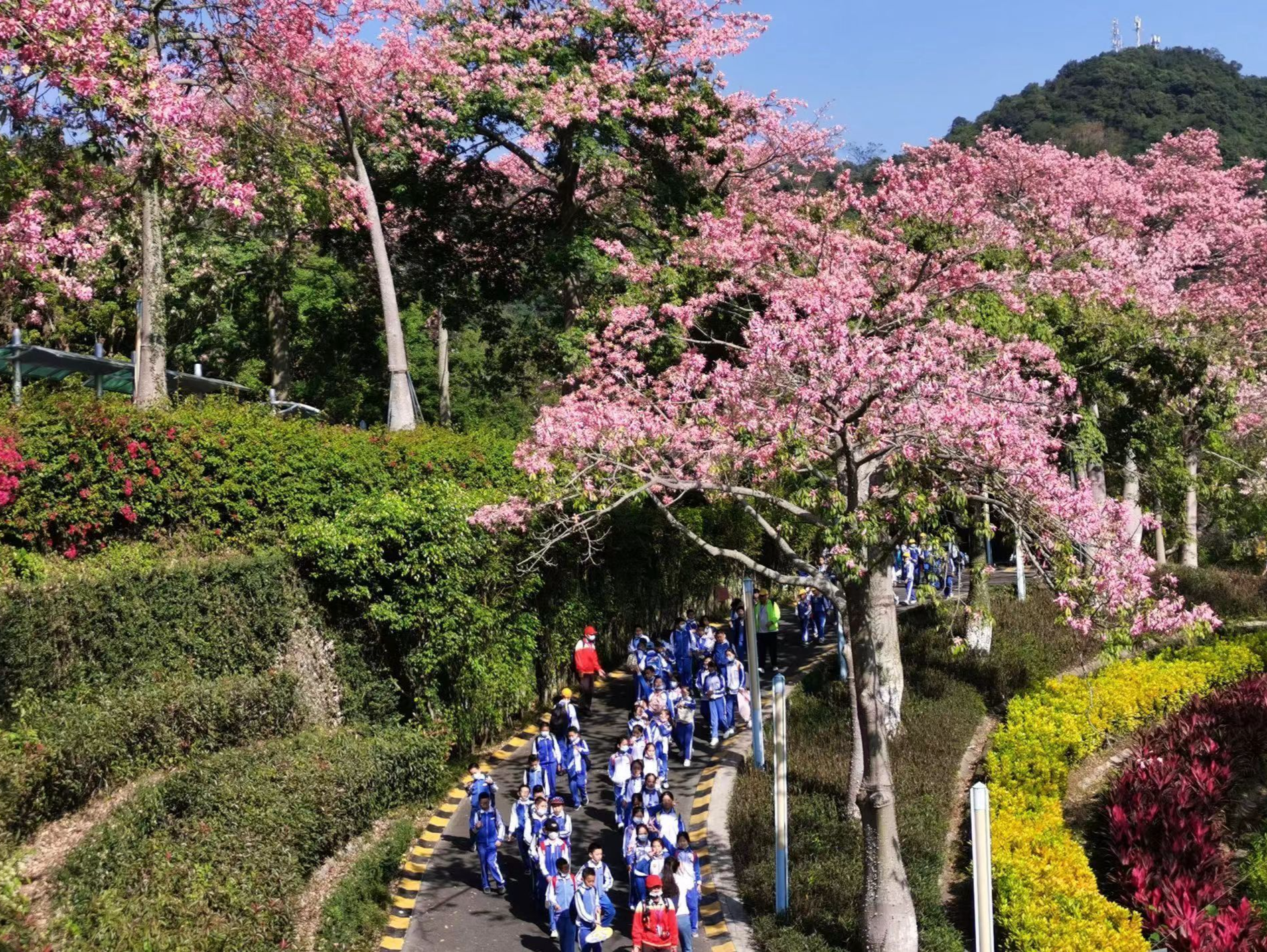 高质量发展现场直击 | 一头连着生态 一头连着烟火气  “五园连通” 演绎山海连城新精彩