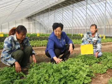 代表委员履职故事｜全国人大代表王银香：农民的事，就是我的事