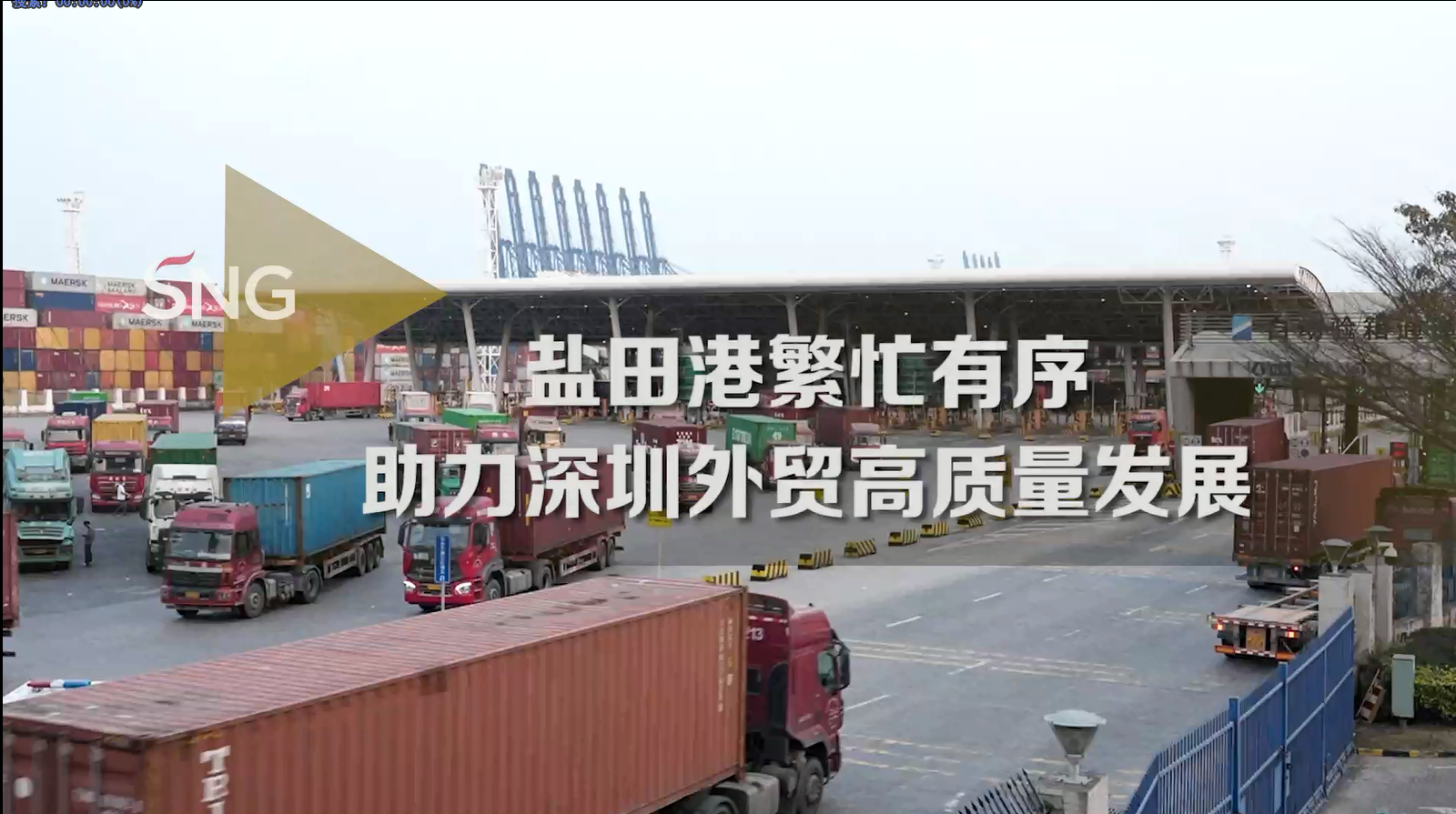 深圳港口助力外贸高质量发展