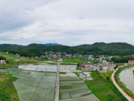 深河共建 圳在帮扶｜深圳对口帮扶龙川县鹤市镇：“现代派”农业助力乡村振兴