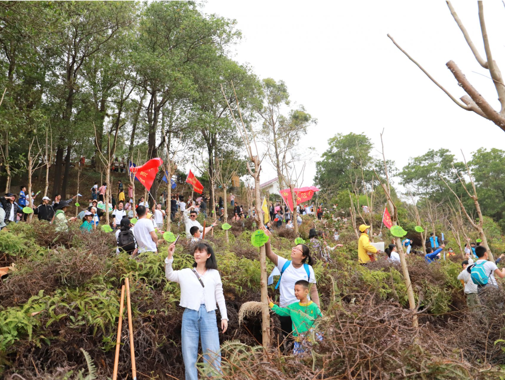 共植一抹绿，一起“森”呼吸！东莞观音山三月掀起植树热潮
