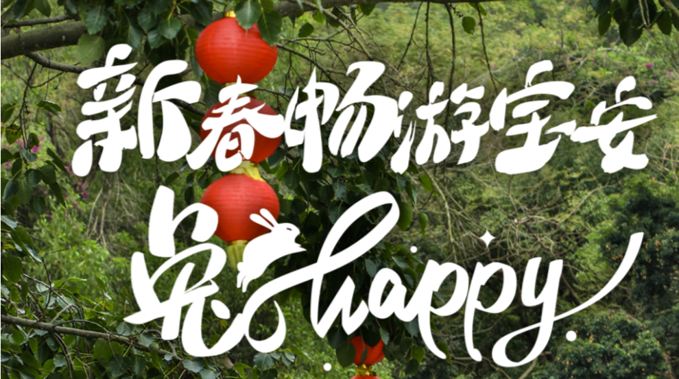 宝安新春公园游玩指南出炉！新年畅游“兔”happy