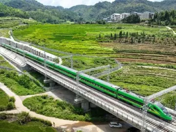 逼停列车！万元罚单已开出 