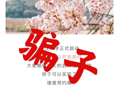 武汉大学辟谣多个网传赏樱消息：赏樱政策尚未发布，谨防黄牛