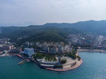 大鹏新区发布义务教育阶段公办学校学位申请的温馨提醒