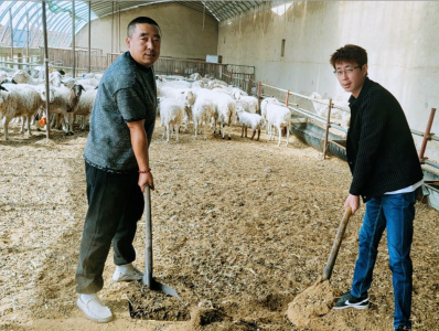 “北漂”程序员返乡“收羊粪”：每天卖1吨羊粪营养土