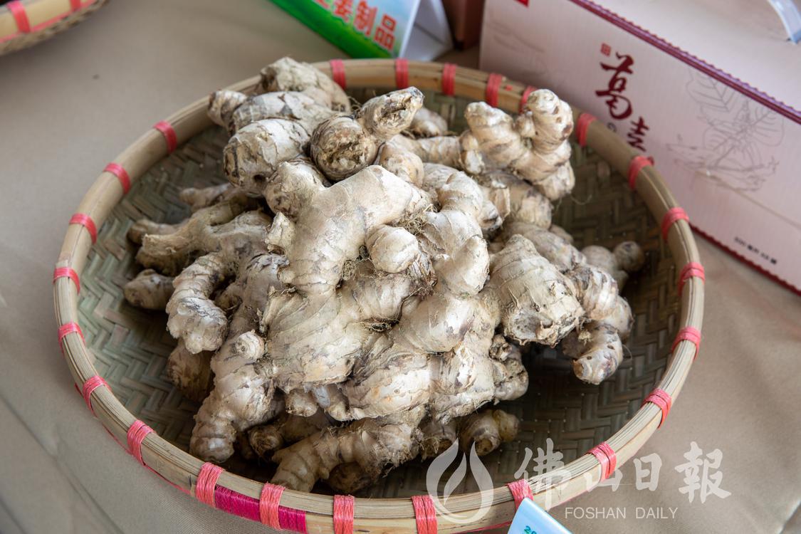 现场展示的高明农特产品合水生姜。佛山日报(4434797)-20230313193729.jpg