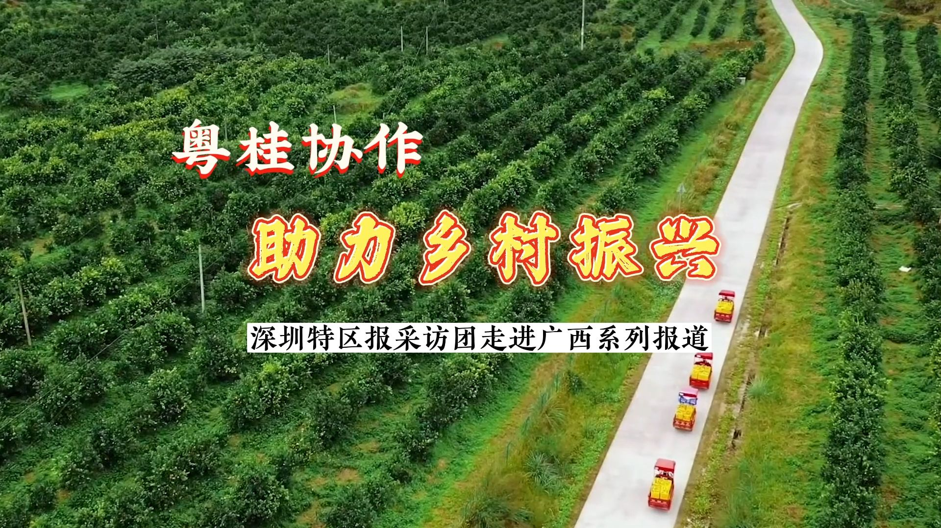粤桂协作 乡村振兴丨获“圳品”认证！都安澳寒羊产品拓展深圳市场 带领农民增收