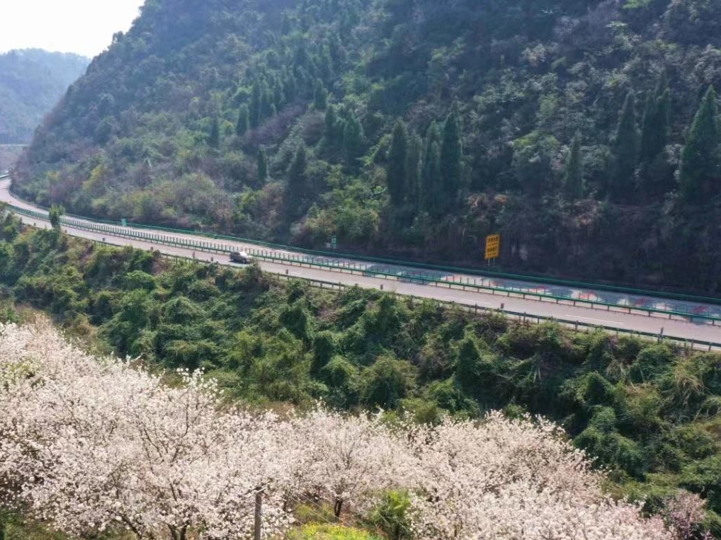 三峡专用公路对外开放8年 通行车辆超2000万台次