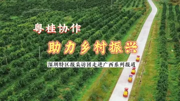 粤桂协作 乡村振兴丨投入2900万！罗城·深圳特殊教育学校弥补罗城教育空缺