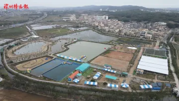 走进汕尾丨汕尾市城区军船头村：打造特色生态园 带动村民共同致富