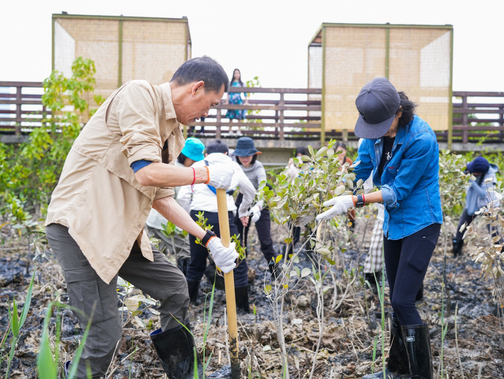 为我们的未来“充植”!  这场植树节主题活动在福田红树林生态公园上线
