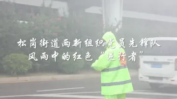 视频 | 松岗街道两新组织党员先锋队 风雨中的红色“逆行者”