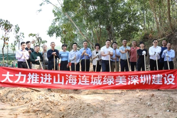 马田街道：义务植树添绿 共建美丽家园