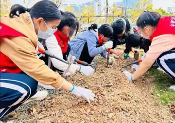 凤凰街道居民携手打造家门口的“共建花园”