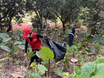 公明街道森防“五清”行动筑牢森林防火墙