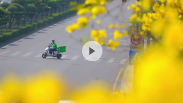 花开深圳 | 深圳的三月正在盛放，迎着春光一起去走“花”路吧