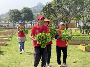 新湖街道开展青年志愿者学雷锋送爱心活动