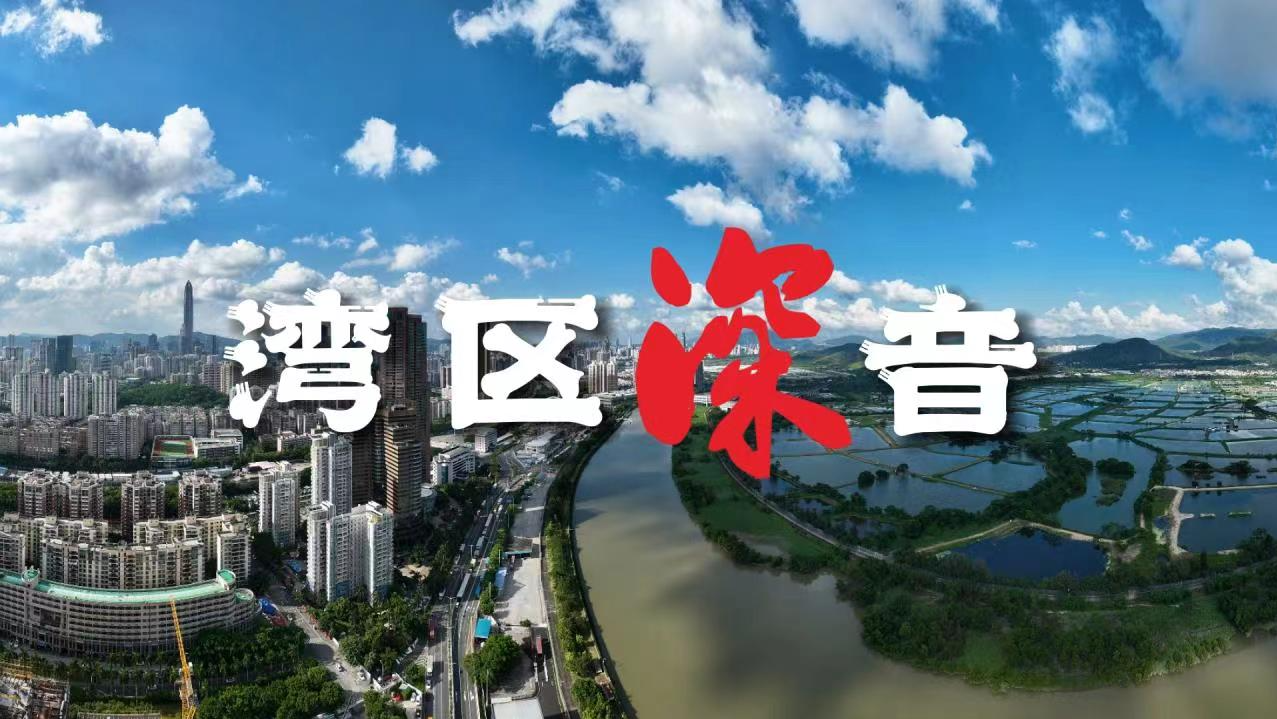 湾区深音 | 谭刚：构建全过程创新体系，助力高质量发展